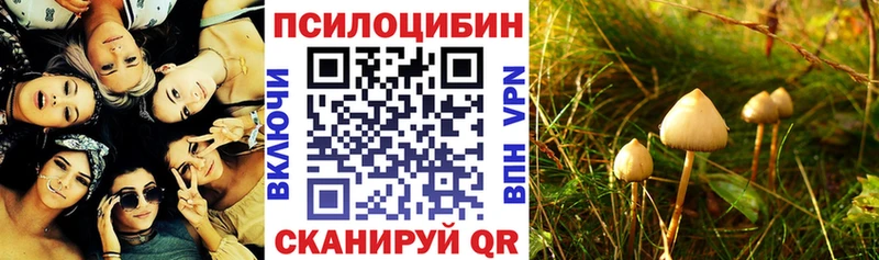 продажа наркотиков  Ростов  Галлюциногенные грибы прущие грибы 
